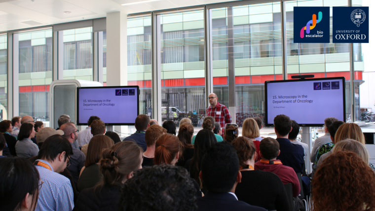 A photo of the seated audience listening to a presentation at the University of Oxford laboratory services showcase.