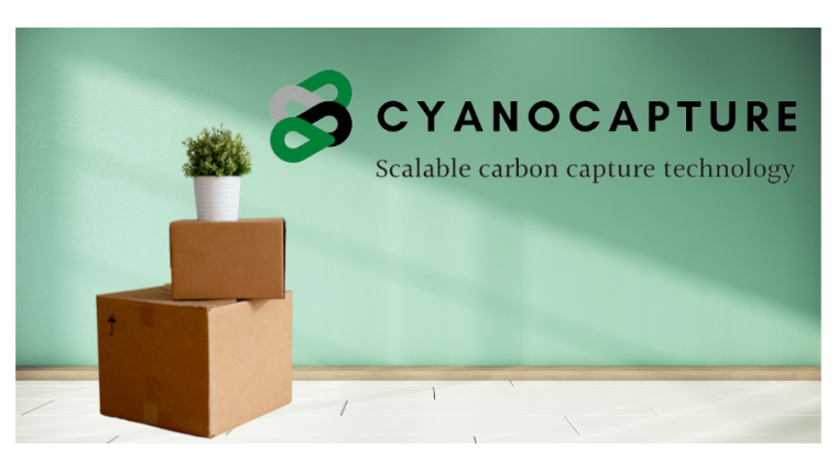 A stack of packed moving boxes with a plant on the top. Cyanocapture logo.