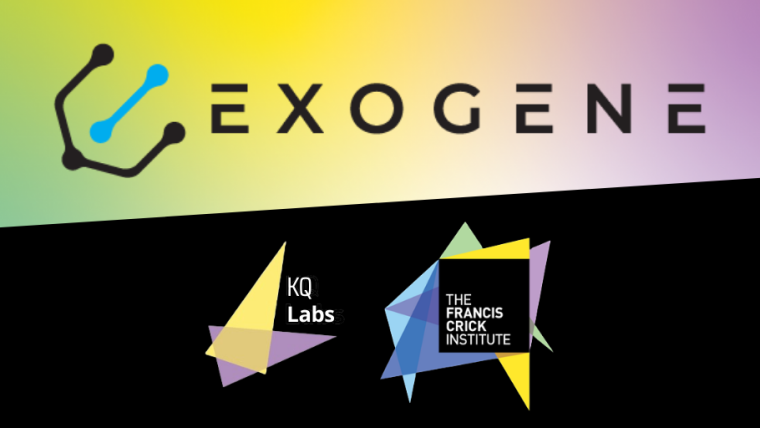 The top half of the image is the Exogene logo on a pastel rainbow background. The lower half of the image is the KQ Labs logo and the Frances Crick Institute logo on a black background.