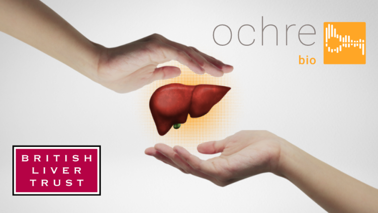 Two hands hold a liver in the middle of the image. The Ochre Bio logo is on the top right of the image. The British Liver Trust logo is on the bottom left of the image.