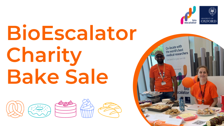 Baked goods on sale at a Bioescalator charity bake sale.